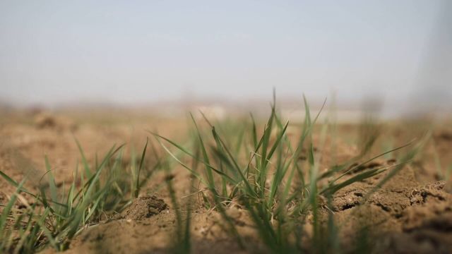 沂水:推进农业机械化 助力农业稳产增收