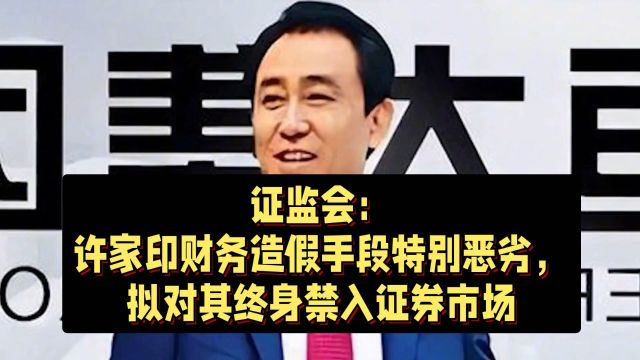 证监会:许家印财务造假手段特别恶劣,拟对其终身禁入证券市场