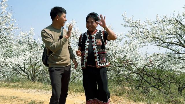 野光来到梨花谷,遇见大山里的舞者,立马上前打招呼