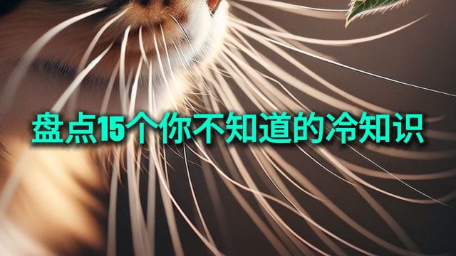 盘点15个你不知道的冷知识!