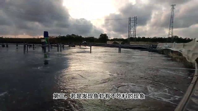 水产养殖中,水体浑浊,产生油膜,是什么原因导致的?