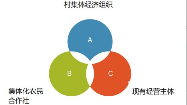 村级经营模式框架设计