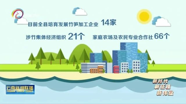 【云南新闻联播】头条点赞昭通大关筇竹 永善辣椒产业