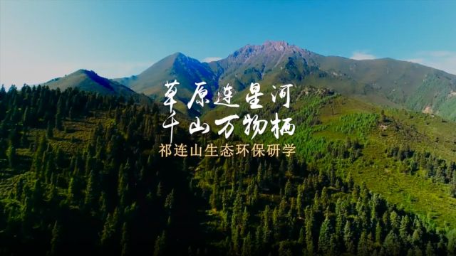 祁连山冰沟河惊艳亮相2024旅业峰会研学专场