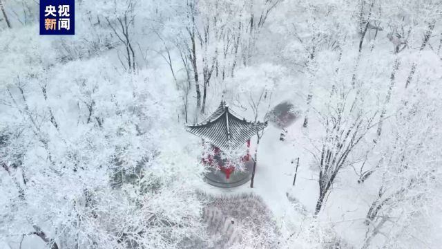 如梦似幻!内蒙古扎兰屯市一夜“换装”迎来雾凇景观