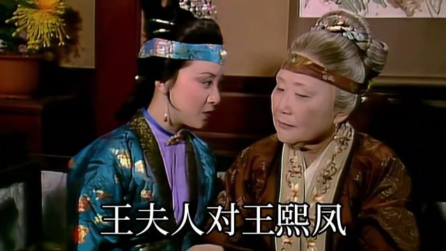 王熙凤是王夫人的亲侄女,管家能力又强,为何王夫人却厌恶她呢?