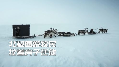 生活在零下60度的北极游牧民，拥有上千头驯鹿，拉着房子不断迁徙