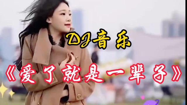 完整版dj音乐《爱了就是一辈子》旋律优美太好听了!