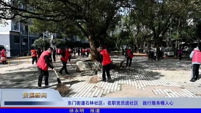 东门街道石林社区:在职党员进社区 践行服务暖民心