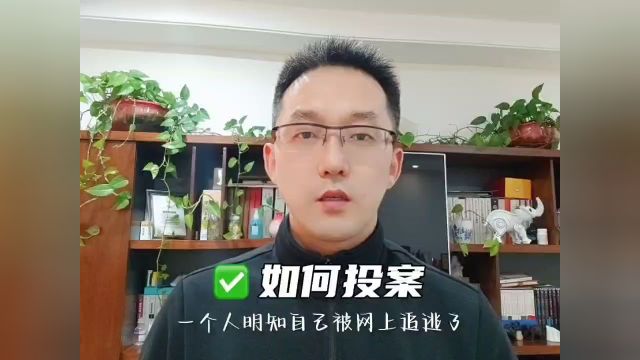 被网上追逃,如何投案?