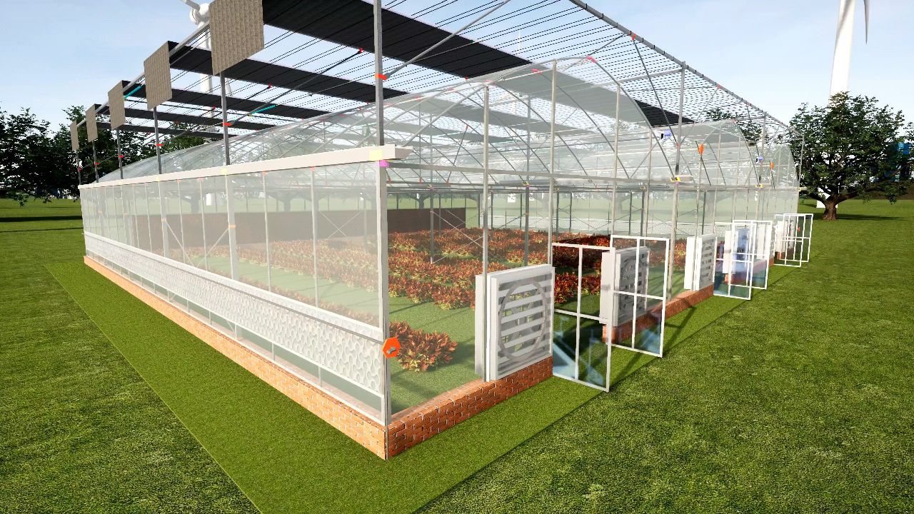 连栋大棚效果图展示