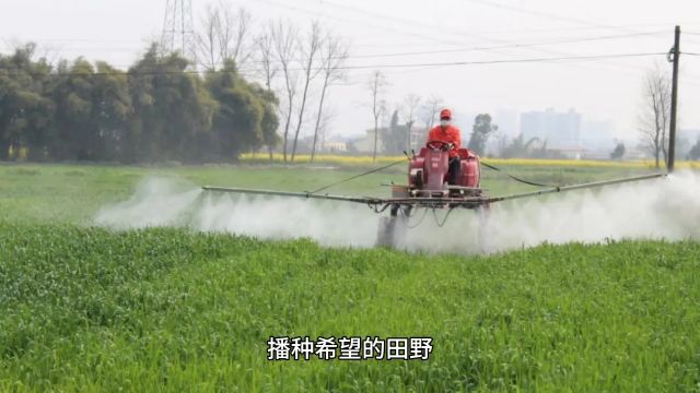 播种希望的田野——农村播种的温馨科普