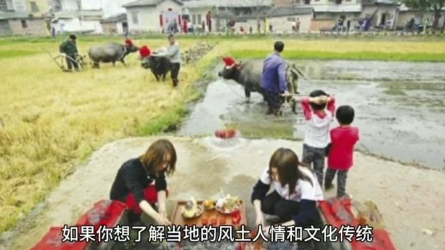 探索广东塘口:美食、美景、人文三位一体的美好旅程.