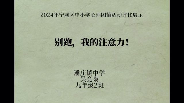 2024年宁河区中小学心理团辅活动展示课