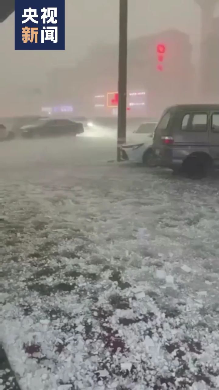 密密麻麻!浙江多地下鹌鹑蛋大冰雹