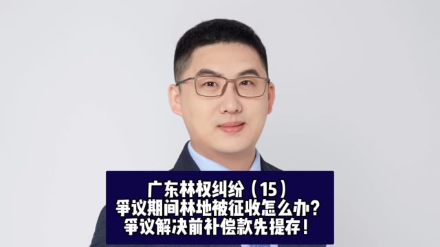 广东林权纠纷(15):争议期间林地被征收怎么办?争议解决前补偿款先提存!