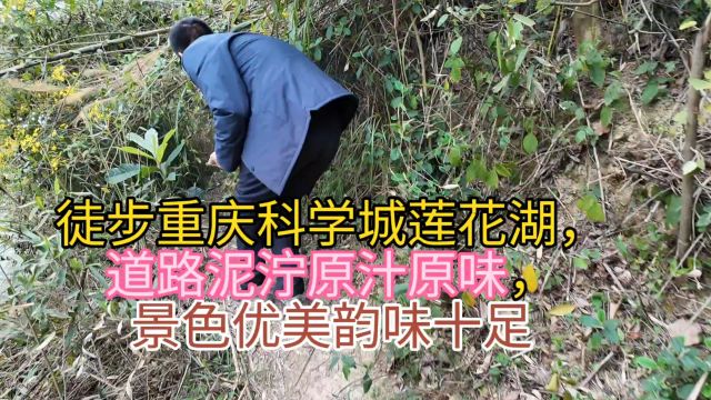 徒步重庆莲花湖,道路泥泞原汁原味,景色优美原汁原味