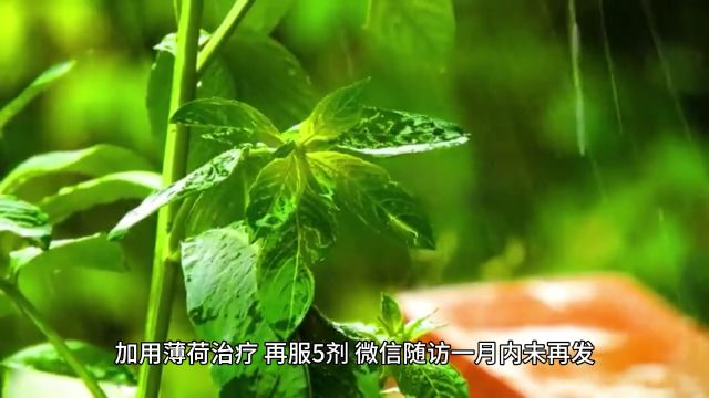 麻杏石甘汤加减治疗鼻窦炎