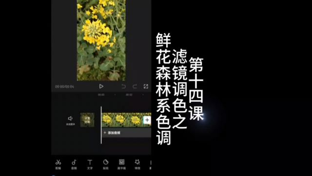 剪映APP短视频制作新手入门系统教程第十四课