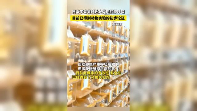 日本学者尝试让人类用屁股呼吸,目前已得到动物实验的初步论证