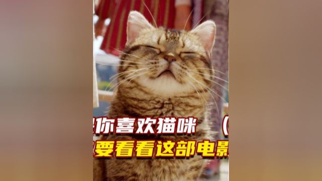 如果你喜欢猫咪,一定要看看这部电影中