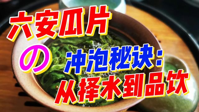 六安瓜片的最佳冲泡:从择水到品饮