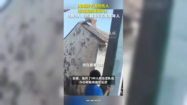 海南猴子进村伤人 还试图抓走婴儿!已致9人受伤 其中6名未成年人(来源:海南广电 央广网)