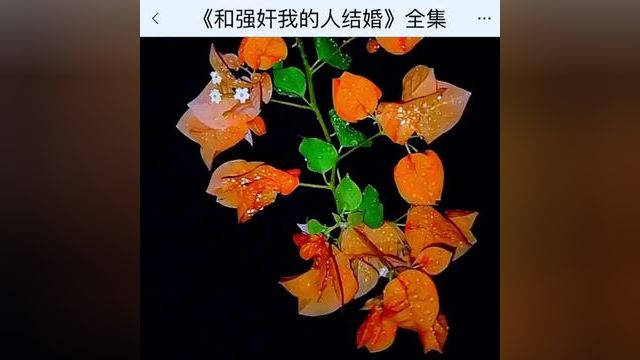 《和强奸我的人结婚》点击下方查看后续精彩内容