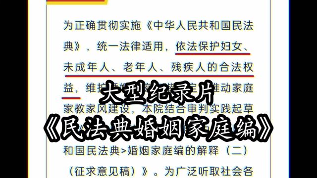 大型纪录片《民法典婚姻家庭编》征求意见稿