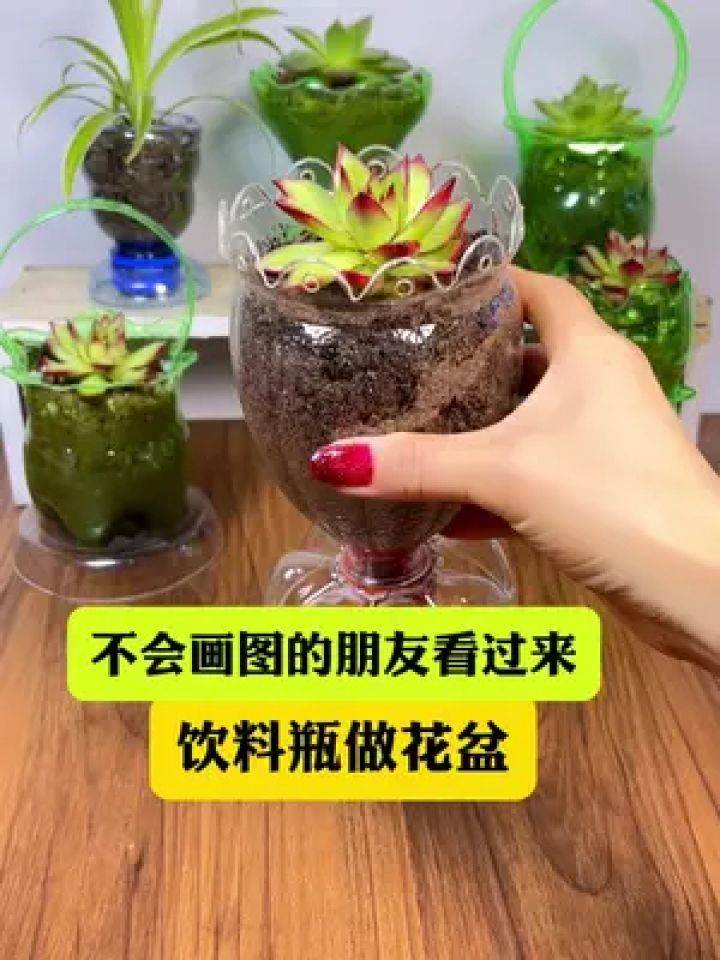 怎样制作手工盆栽图片