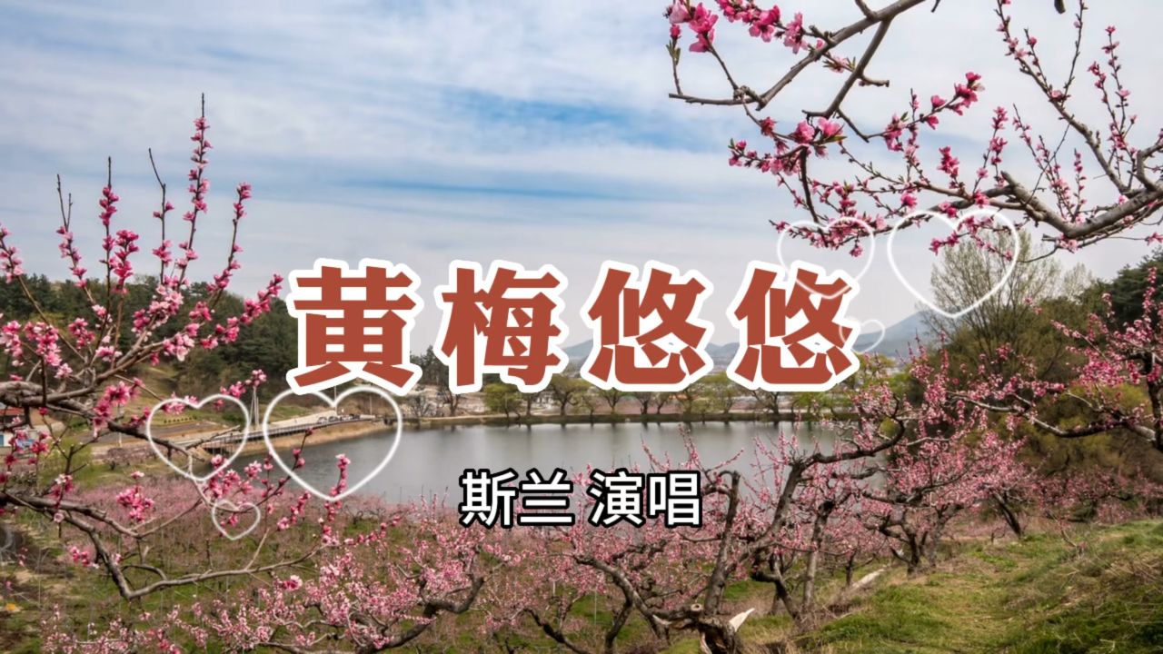 斯兰一首《黄梅悠悠》,歌声圆润甜美,深情感人!