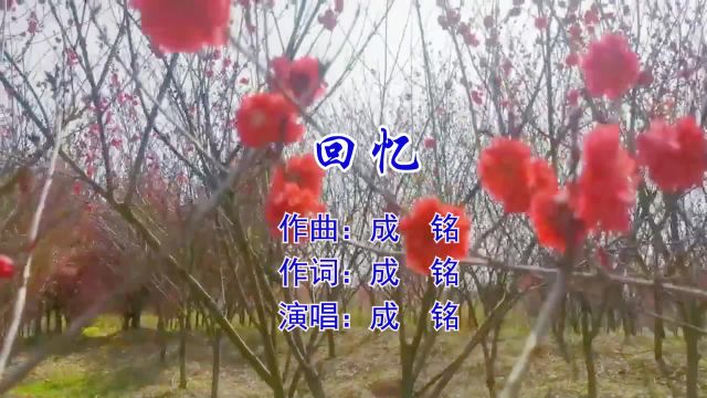 回忆 作词 :成铭 作曲:成铭 演唱:成铭