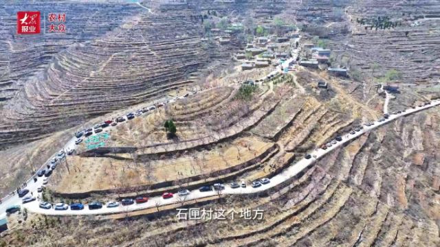 “玉水画廊”游柳埠|产业融合引来“金凤凰”,高端民宿落户小山村