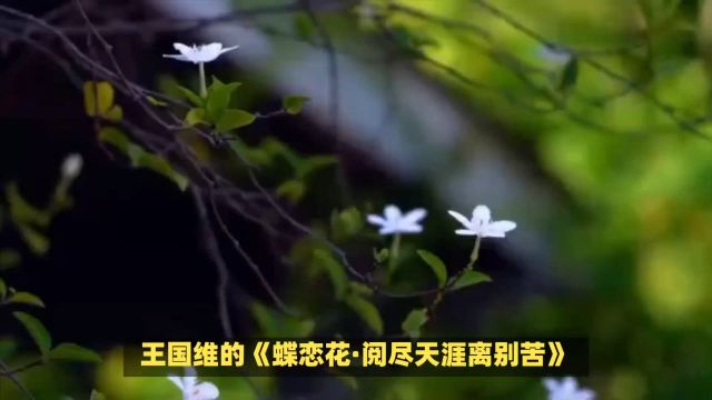 王国维的《蝶恋花ⷮŠ阅尽天涯离别苦》首情感深沉、意境悠远的词作,充分展现了他对离别之苦和时光易逝的深刻感受