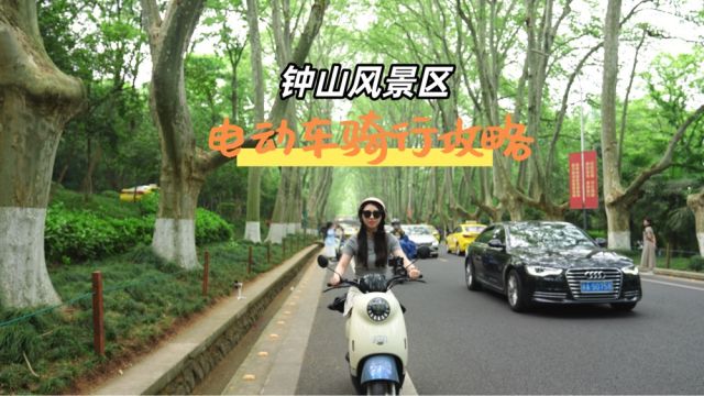 你们要的钟山风景区电动车骑行线路攻略来了