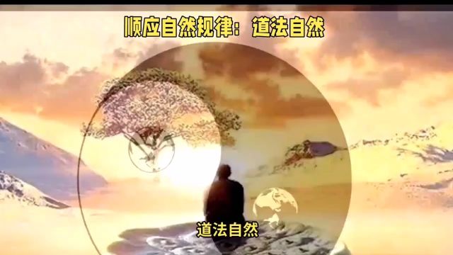 顺应自然规律:道法自然