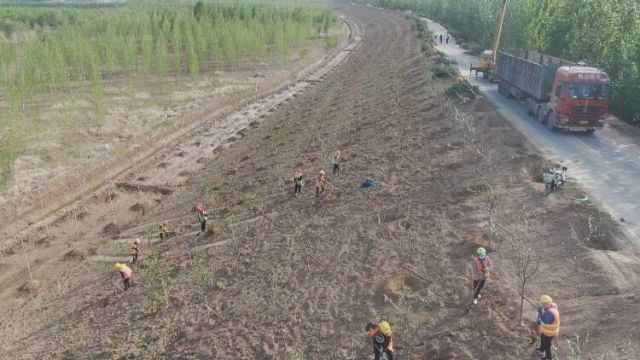 东营市东营区:完成造林绿化7391亩 深入推进沿黄生态长廊建设