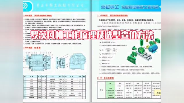 什么是罗茨风机?罗茨鼓风机型号参数详细解析