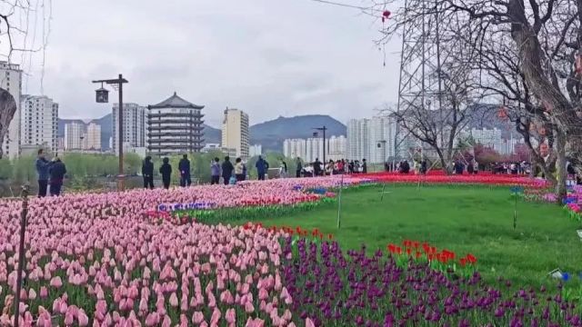 文旅融合 黄河之约——“蓝色黄河ⷩ˜𓥅‰永靖”媒体及网络达人采风活动见闻