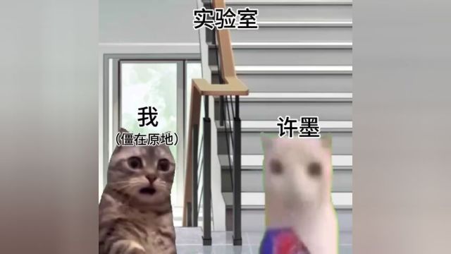 不是许墨是你的谎言#恋与制作人#许墨