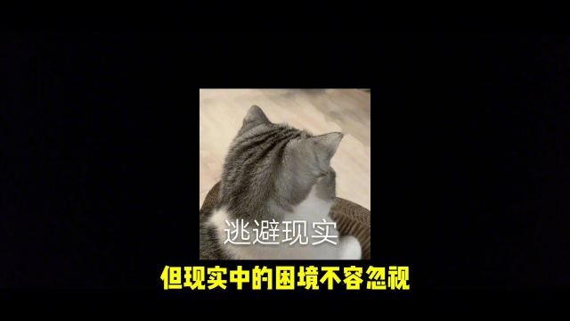 大型纪录片:《保安传奇》