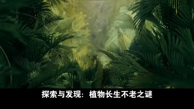 探索与发现:植物长生不老之谜