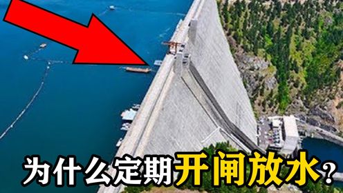 大坝为什么要定期开闸放水?直观展示其中原理,多年的疑惑解开了_高清1080P在线观看平台_腾讯视频