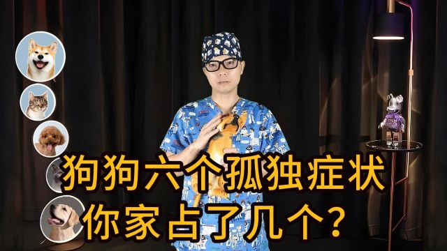 狗狗六个孤独的症状,你家毛孩子占了几个?科学养狗经验分享