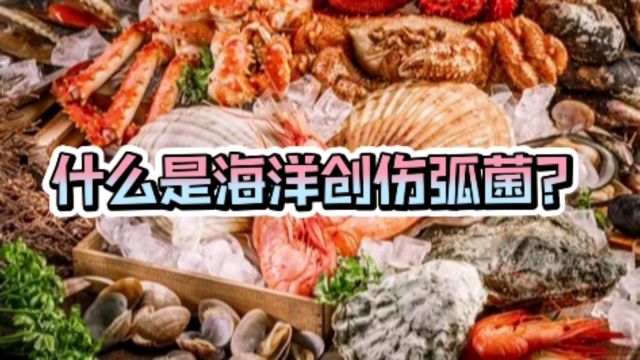 从菜市场到ICU病房:一名男童的海洋创伤弧菌感染经历