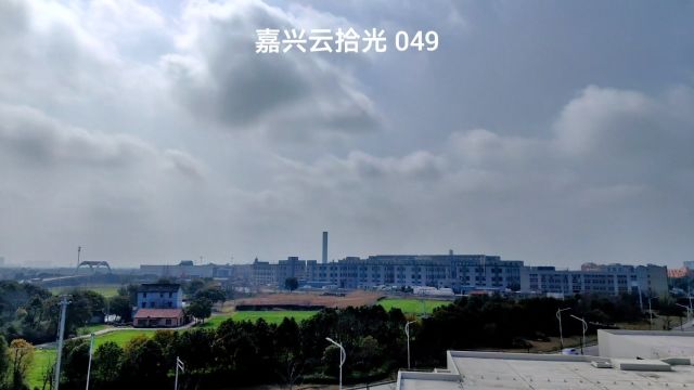 春天 窗外的风景 拍摄于嘉善杨庙大道