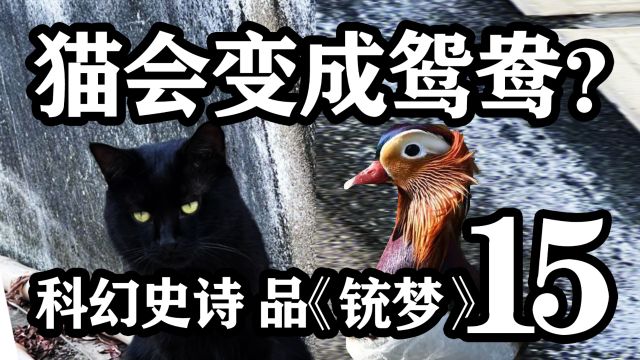 猫会变成鸳鸯?品《铳梦》第15期