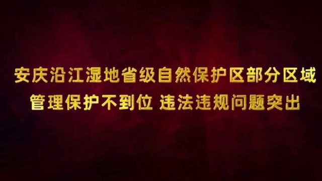 安徽生态环境保护督察典型案例四 | 安庆沿江湿地省级自然保护区部分区域管理保护不到位 违法违规问题突出