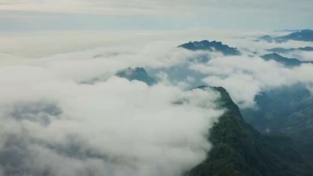 仔细观察《青城山十景图》,大家走进青城山寻找张大千的印迹故事