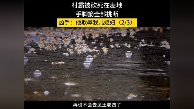 村霸被砍死在麦地,手脚筋全部挑断,凶手:他欺辱我儿媳妇!#老实人#人文社科#真实案件#奇闻 2